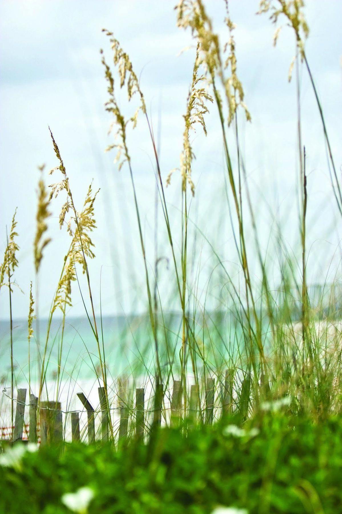Club Wyndham Beach Street Cottages Miramar Beach Zewnętrze zdjęcie